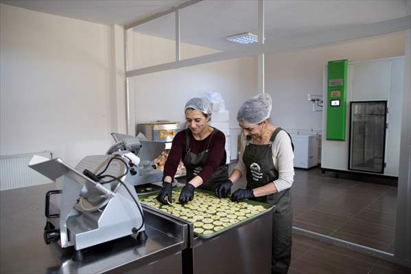 Tunceli'de kurulan meyve sebze kurutma tesisi dar gelirli kadınlara iş kapısı oldu