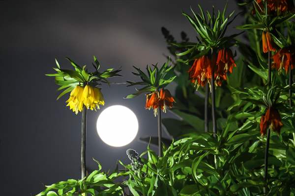 Full Moon in Turkiye's Van