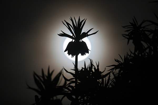 Full Moon in Turkiye's Van