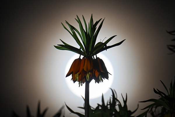 Full Moon in Turkiye's Van