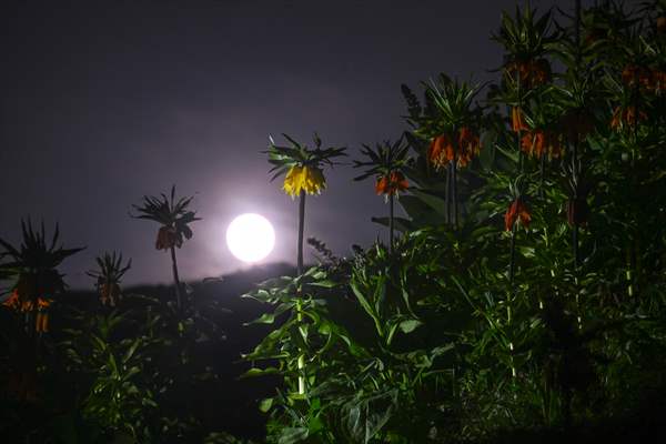 Full Moon in Turkiye's Van