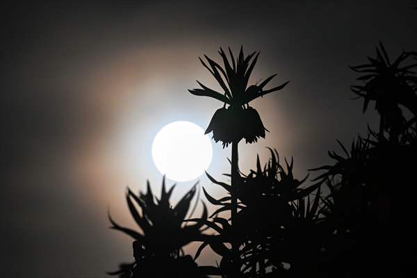 Full Moon in Turkiye's Van