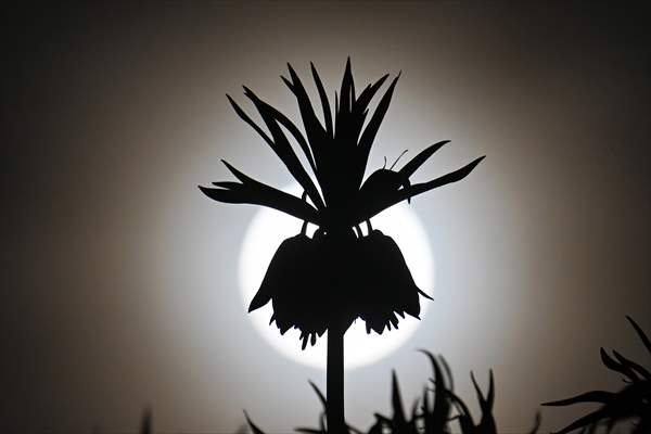 Full Moon in Turkiye's Van