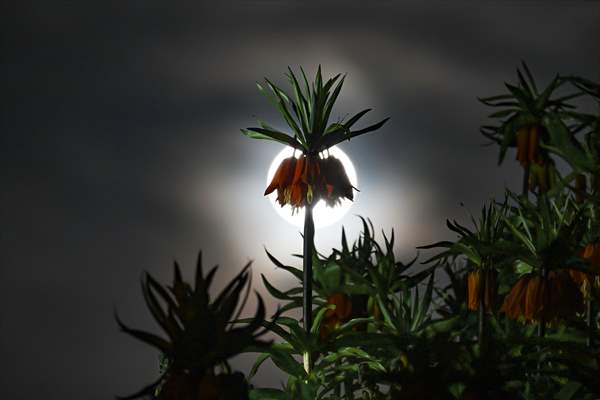 Full Moon in Turkiye's Van