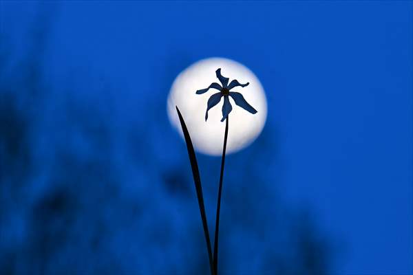 Full Moon in Turkiye's Van