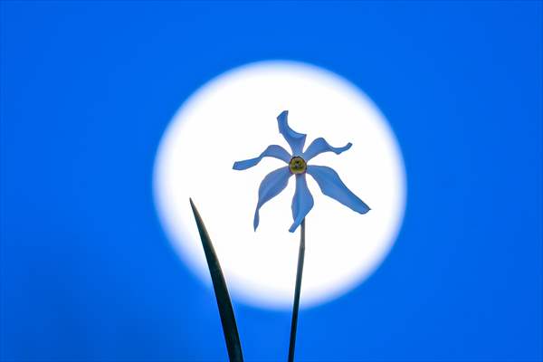 Full Moon in Turkiye's Van