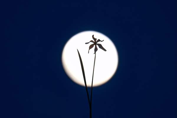 Full Moon in Turkiye's Van
