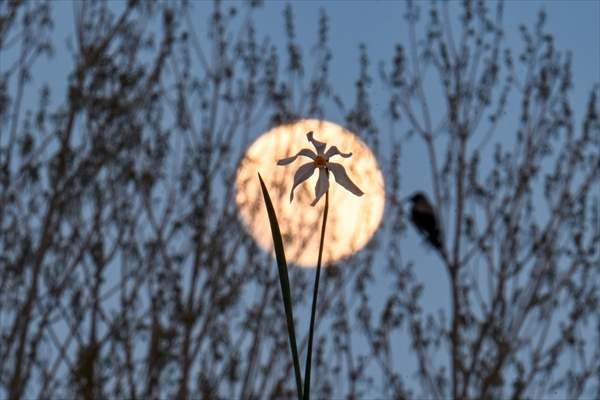 Full Moon in Turkiye's Van