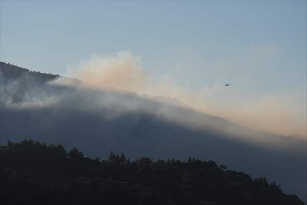 Efforts continue to combat forest fires in Izmir