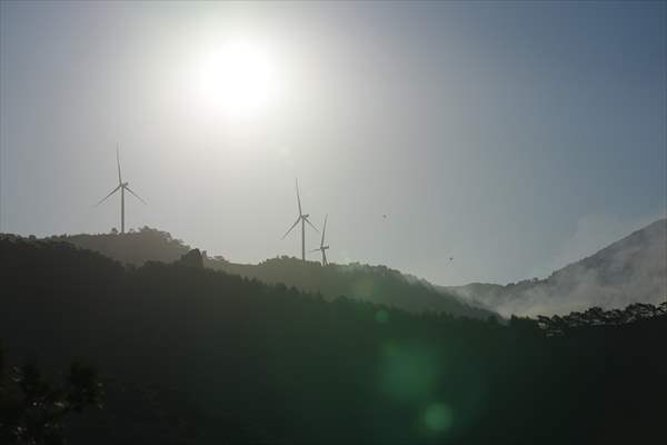 Efforts continue to combat forest fires in Izmir