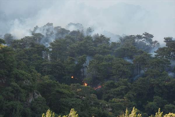 Efforts continue to combat forest fires in Izmir