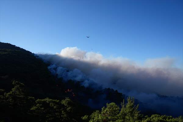 Efforts continue to combat forest fires in Izmir