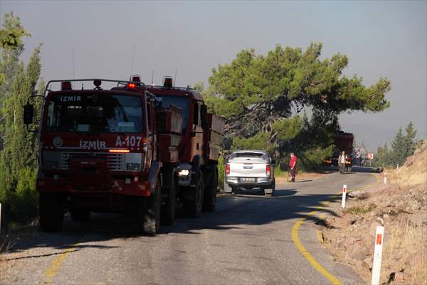 Efforts continue to combat forest fires in Izmir