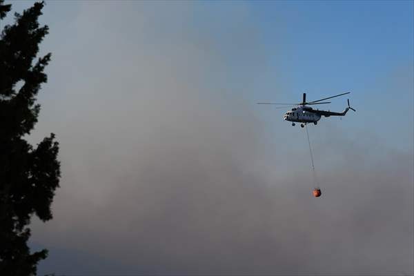 Efforts continue to combat forest fires in Izmir