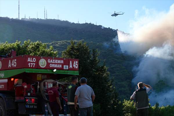 Efforts continue to combat forest fires in Izmir