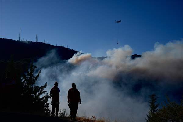 Efforts continue to combat forest fires in Izmir