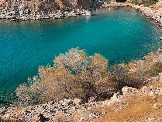 İklim krizi ve insan etkisiyle Kızıldeniz'den Akdeniz'e geçen türler doğa için tehdit