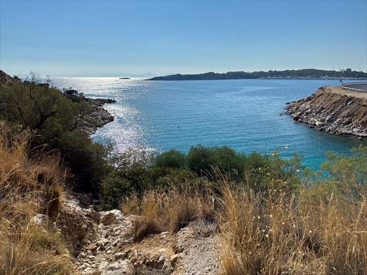 İklim krizi ve insan etkisiyle Kızıldeniz'den Akdeniz'e geçen türler doğa için tehdit