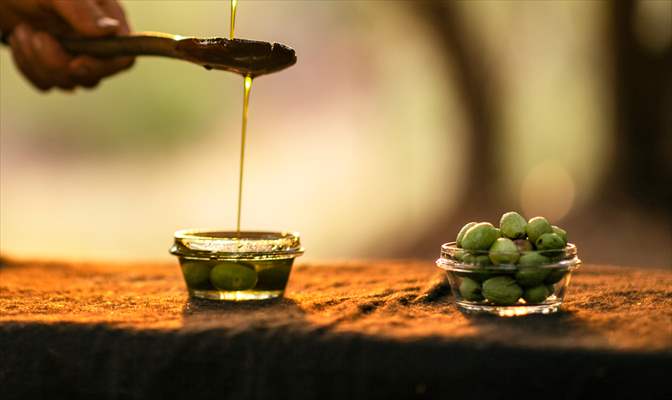 Olive harvest starts in Turkiye's Mardin