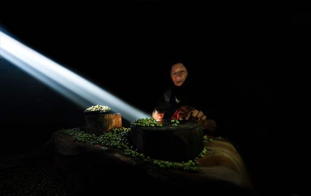 Olive harvest starts in Turkiye's Mardin