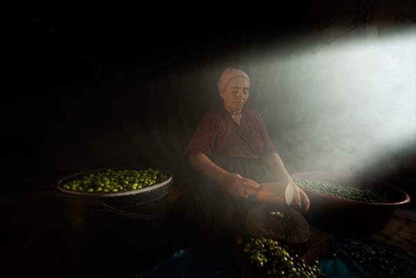 Olive harvest starts in Turkiye's Mardin
