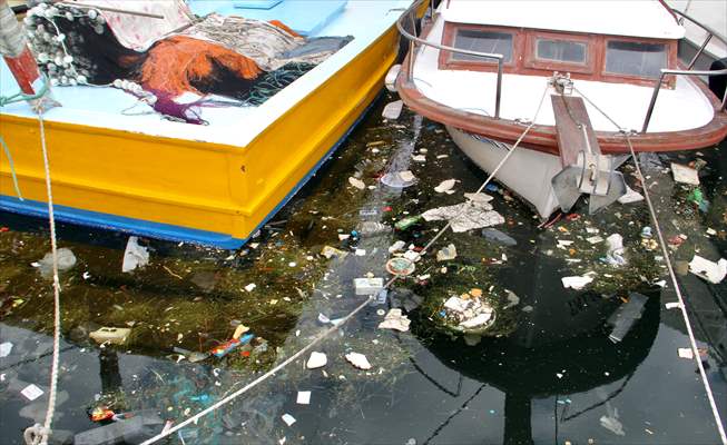 Doğaya bırakılan plastik çöpler deniz canlıları üzerinde ölümcül sonuçlar doğuruyor