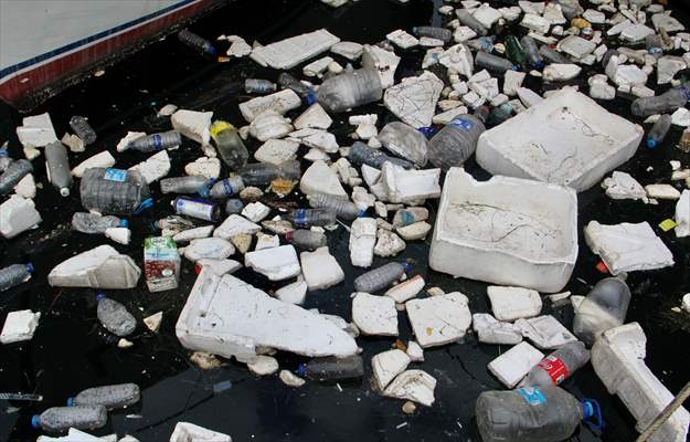 Doğaya bırakılan plastik çöpler deniz canlıları üzerinde ölümcül sonuçlar doğuruyor