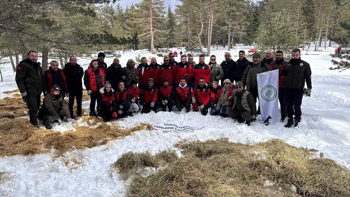 Kastamonu'da karlı yolları yaban hayvanları için aşıp doğaya yem bıraktılar