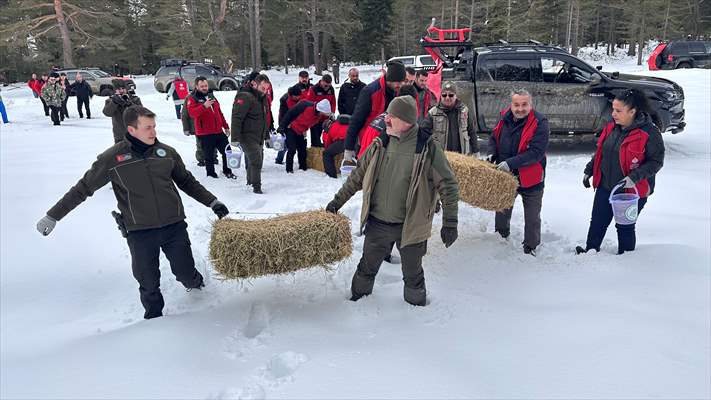 Kastamonu'da karlı yolları yaban hayvanları için aşıp doğaya yem bıraktılar