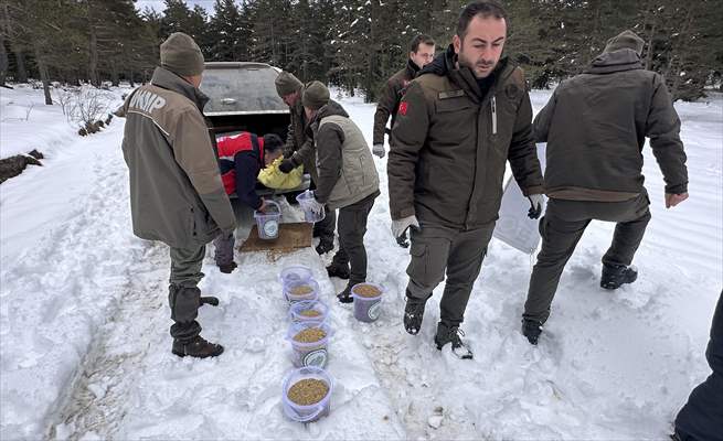 Kastamonu'da karlı yolları yaban hayvanları için aşıp doğaya yem bıraktılar