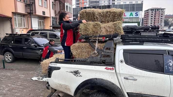 Kastamonu'da karlı yolları yaban hayvanları için aşıp doğaya yem bıraktılar