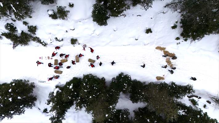 Kastamonu'da karlı yolları yaban hayvanları için aşıp doğaya yem bıraktılar