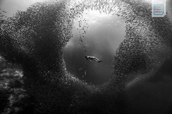 Winners of Istanbul Photo Awards 2025 announced