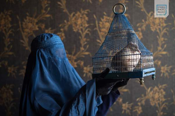 Winners of Istanbul Photo Awards 2025 announced
