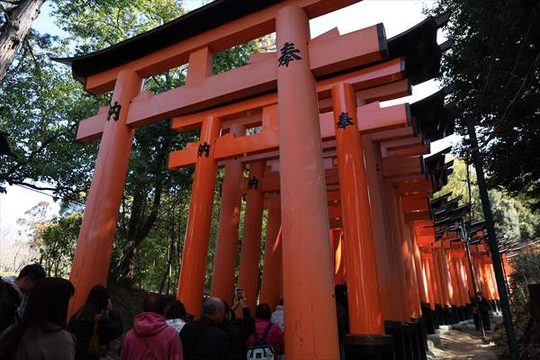 Fushimi Inari Shrine in Kyoto welcomes tourists and locals, reflecting daily life