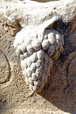 A 2,000-year-old sarcophagus was found in Stratonikeia Ancient City in Turkiye's Mugla