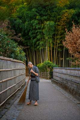 Arashiyama Bamboo Forest in Japan
