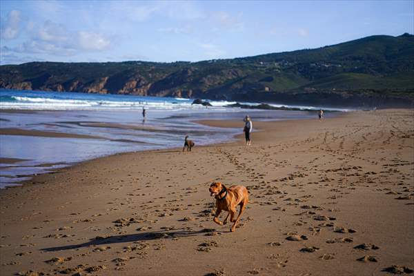 Surfing enthusiasts' favorite, Guincho Beach