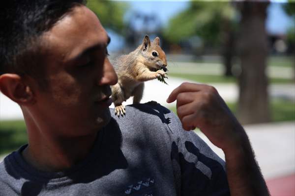 Bahçesinde bitkin halde bulduğu sincaba evinde özenle bakıyor