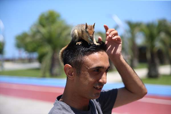 Bahçesinde bitkin halde bulduğu sincaba evinde özenle bakıyor