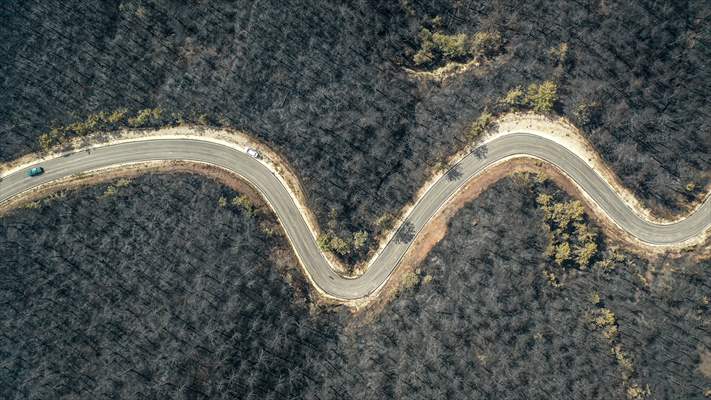 Bilecik'te orman yangınında zarar gören alanlar dronla görüntülendi