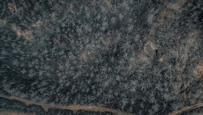 Bilecik'te orman yangınında zarar gören alanlar dronla görüntülendi