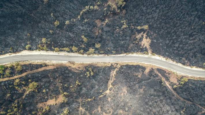 Bilecik'te orman yangınında zarar gören alanlar dronla görüntülendi
