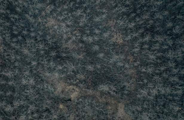 Bilecik'te orman yangınında zarar gören alanlar dronla görüntülendi