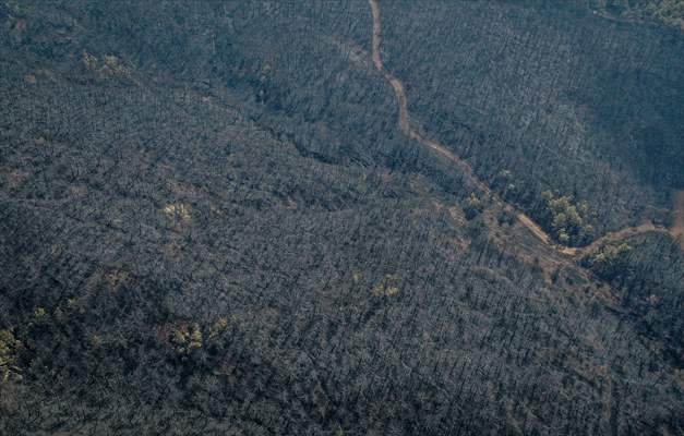 Bilecik'te orman yangınında zarar gören alanlar dronla görüntülendi