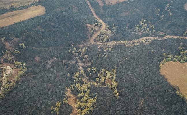 Bilecik'te orman yangınında zarar gören alanlar dronla görüntülendi