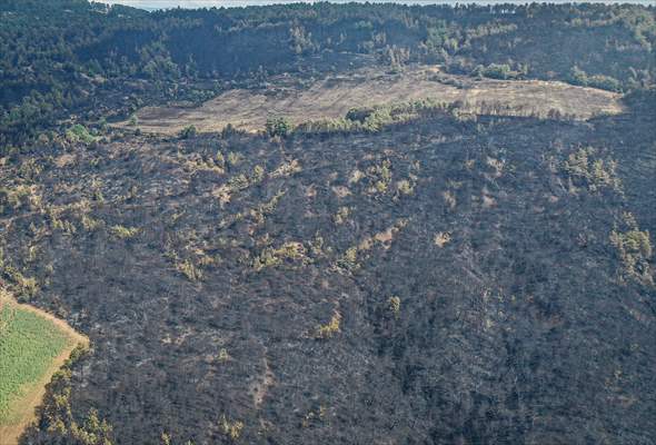 Bilecik'te orman yangınında zarar gören alanlar dronla görüntülendi