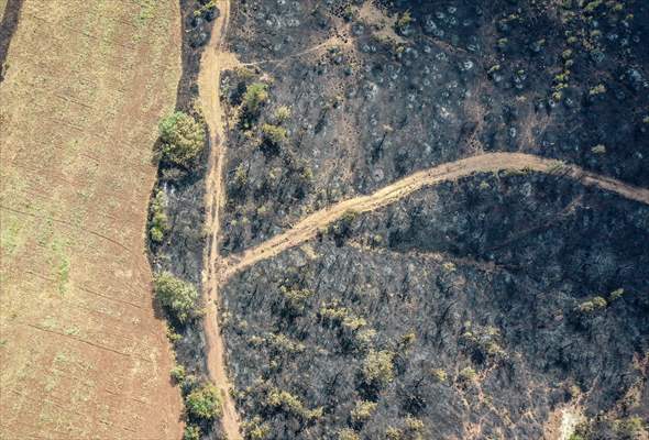 Bilecik'te orman yangınında zarar gören alanlar dronla görüntülendi