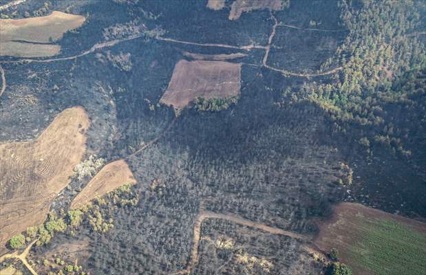 Bilecik'te orman yangınında zarar gören alanlar dronla görüntülendi