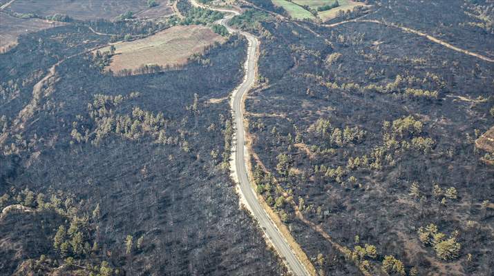 Bilecik'te orman yangınında zarar gören alanlar dronla görüntülendi